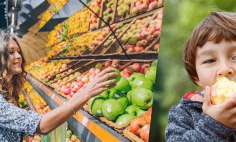 numerator shopper insights|Numerator Insights .